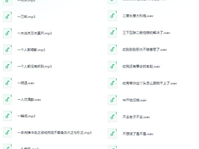 《剪辑短视频必备语音包素材》个人珍藏 [mp3/wav][2.1GB]