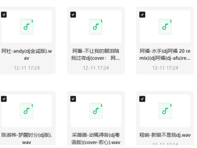 车载DJ慢摇好听至极的经典音乐 值得收藏